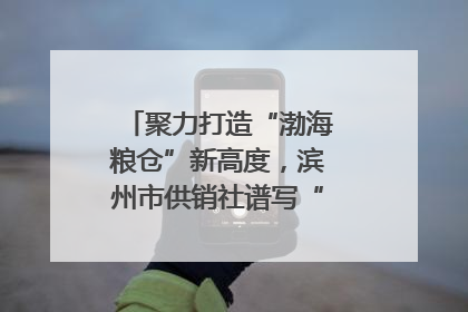 聚力打造“渤海粮仓”新高度，滨州市供销社谱写“三夏”丰收乐章