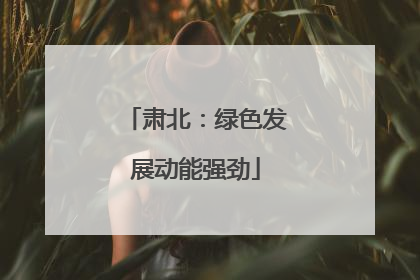肃北：绿色发展动能强劲