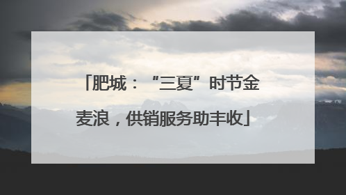 肥城：“三夏”时节金麦浪，供销服务助丰收