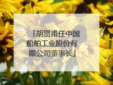 胡贤甫任中国船舶工业股份有限公司董事长