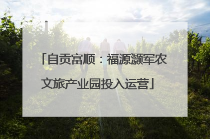 自贡富顺：福源灏军农文旅产业园投入运营