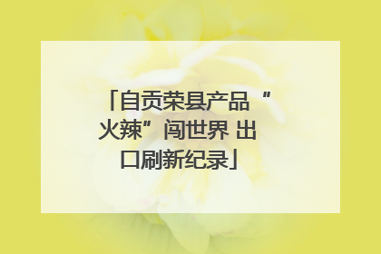 自贡荣县产品“火辣”闯世界 出口刷新纪录