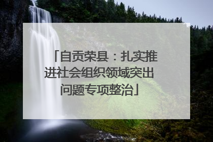 自贡荣县：扎实推进社会组织领域突出问题专项整治