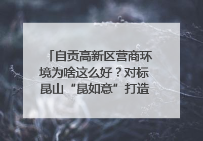自贡高新区营商环境为啥这么好？对标昆山“昆如意”打造自贡“高兴办”｜美好生活有“盐”味