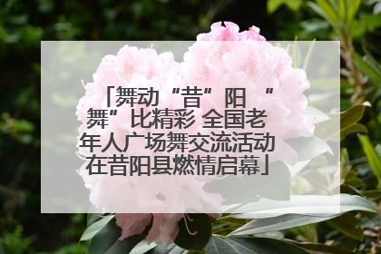 舞动“昔”阳 “舞”比精彩 全国老年人广场舞交流活动在昔阳县燃情启幕