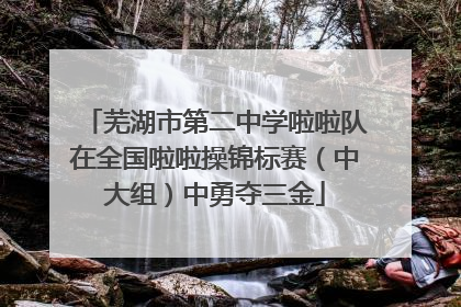 芜湖市第二中学啦啦队在全国啦啦操锦标赛（中大组）中勇夺三金