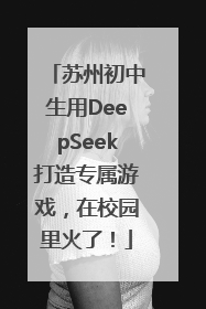 苏州初中生用DeepSeek打造专属游戏，在校园里火了！