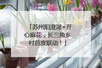 苏州阳澄湖×开心麻花，长三角乡村首度联动！