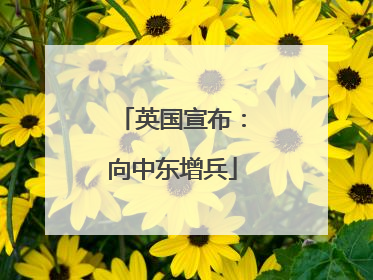英国宣布：向中东增兵