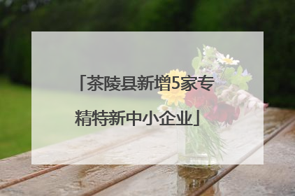茶陵县新增5家专精特新中小企业