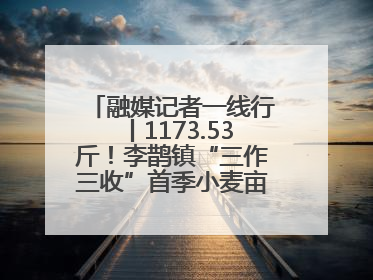 融媒记者一线行丨1173.53斤！李鹊镇“三作三收”首季小麦亩产创新高