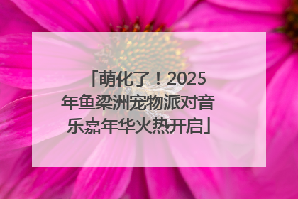 萌化了！2025年鱼梁洲宠物派对音乐嘉年华火热开启