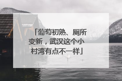 葡萄初熟、厕所变新，武汉这个小村湾有点不一样