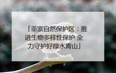 董寨自然保护区：推进生物多样性保护 全力守护好绿水青山
