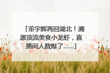 董宇辉再回湖北！溯源顶流美食小龙虾，直播间人数爆了……