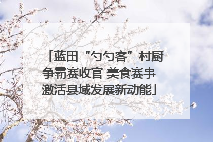 蓝田“勺勺客”村厨争霸赛收官 美食赛事激活县域发展新动能