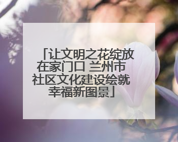 让文明之花绽放在家门口 兰州市社区文化建设绘就幸福新图景