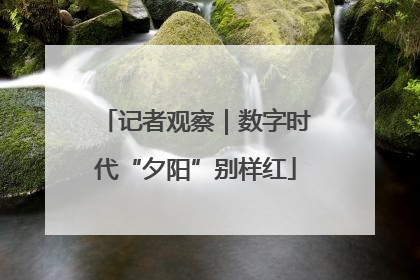 记者观察｜数字时代“夕阳”别样红