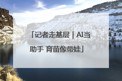 记者走基层｜AI当助手 育苗像带娃
