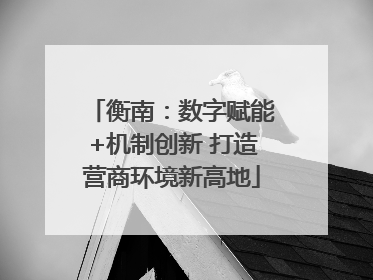 衡南：数字赋能+机制创新 打造营商环境新高地