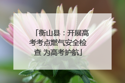 衡山县：开展高考考点燃气安全检查 为高考护航