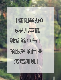 衡阳举办0-6岁儿童孤独症筛查与干预服务项目业务培训班