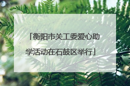 衡阳市关工委爱心助学活动在石鼓区举行