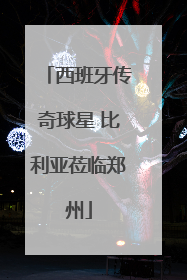 西班牙传奇球星 比利亚莅临郑州
