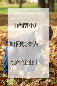 西南小厂如何蝶变为领军企业