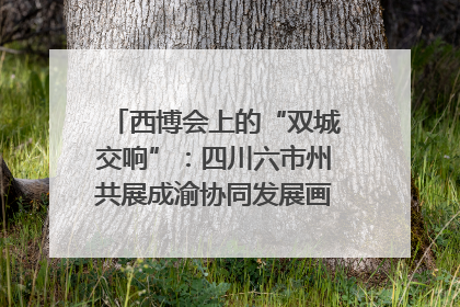 西博会上的“双城交响”：四川六市州共展成渝协同发展画卷｜西博视界