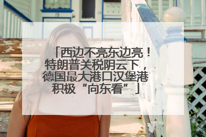 西边不亮东边亮！特朗普关税阴云下，德国最大港口汉堡港积极“向东看”