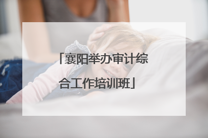 襄阳举办审计综合工作培训班