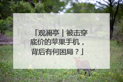 观澜亭｜被击穿底价的苹果手机，背后有何困局？