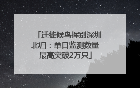 迁徙候鸟挥别深圳北归：单日监测数量最高突破2万只
