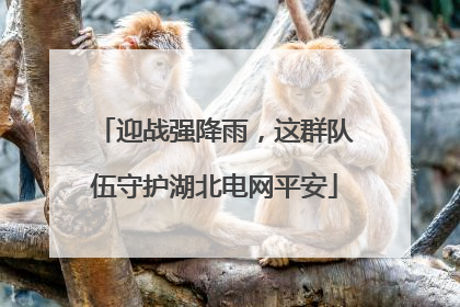 迎战强降雨，这群队伍守护湖北电网平安