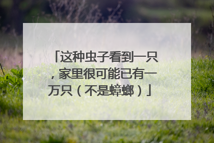 这种虫子看到一只，家里很可能已有一万只（不是蟑螂）