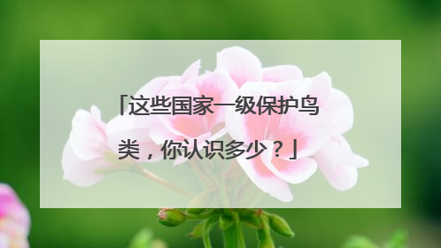 这些国家一级保护鸟类，你认识多少？