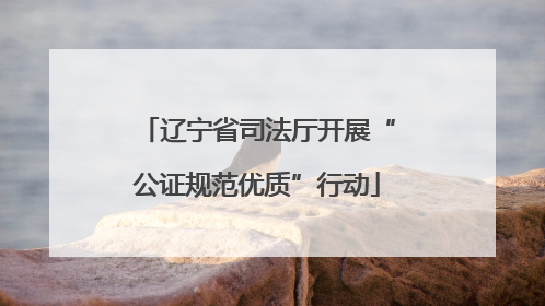 辽宁省司法厅开展“公证规范优质”行动