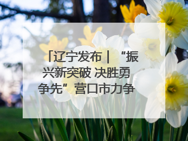 辽宁发布｜“振兴新突破 决胜勇争先”营口市力争上半年GDP增长6%左右
