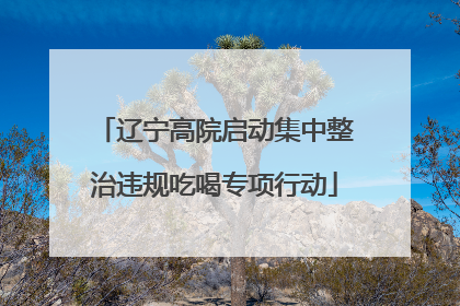 辽宁高院启动集中整治违规吃喝专项行动