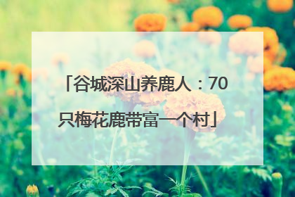 谷城深山养鹿人：70只梅花鹿带富一个村
