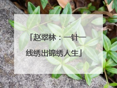 赵翠林：一针一线绣出锦绣人生
