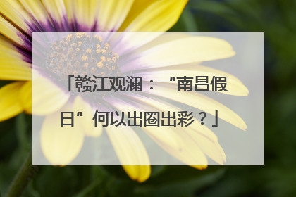 赣江观澜：“南昌假日”何以出圈出彩？