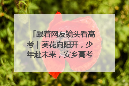 跟着网友镜头看高考｜葵花向阳开，少年赴未来，安乡高考首日的希望图景