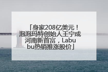 身家208亿美元！泡泡玛特创始人王宁成河南新首富，Labubu热销推涨股价