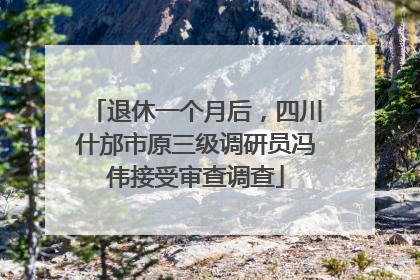 退休一个月后，四川什邡市原三级调研员冯伟接受审查调查