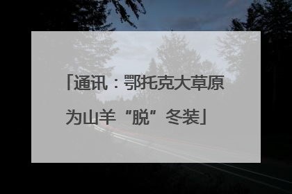 通讯：鄂托克大草原为山羊“脱”冬装