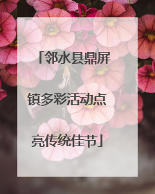 邻水县鼎屏镇多彩活动点亮传统佳节