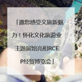 邀您感受文旅新魅力！怀化文化旅游业主题展馆亮相RCEP经贸博览会