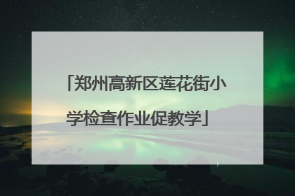 郑州高新区莲花街小学检查作业促教学